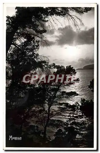 Ansichtskarte AK Cassis sur Mer La Cote Provencale Coucher de Soleil sur le golfe vu du Revestel