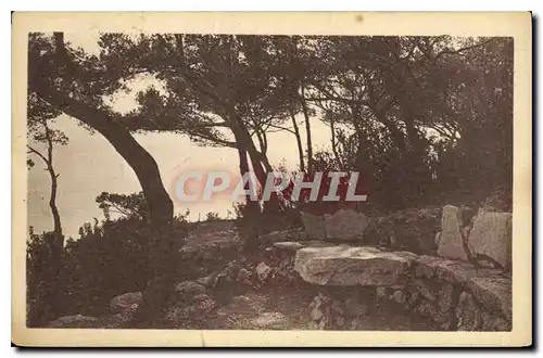 Cartes postales Cassis sur Mer (B du Rh) Les Roches Blanches Hotel Restaurant Tea Room