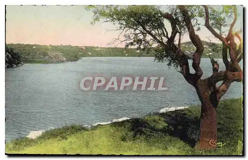 Cartes postales Istres (B du R) Etang de l'Olivier