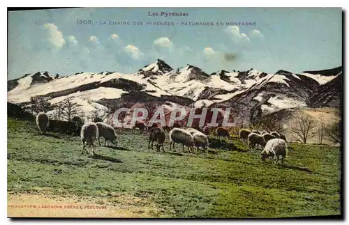 Ansichtskarte AK Les Pyrenees La Chaine des Pyrenees Paturages en Montagne Moutons