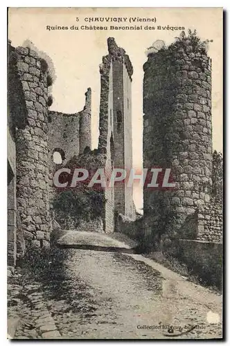 Ansichtskarte AK Chauvigny (Vienne) Ruines du Chateau Baronnial des Eveques