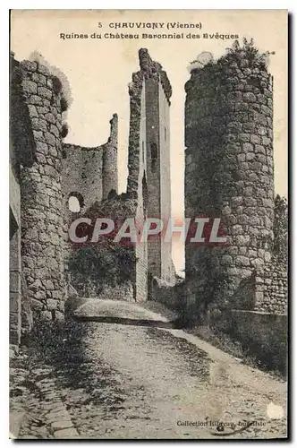 Cartes postales Chauvigny (Vienne) Ruines du Chateau Baronnial des Eveques