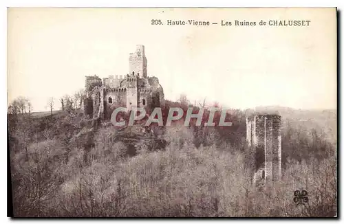 Ansichtskarte AK Haute Vienne Les Ruines de Chalusset