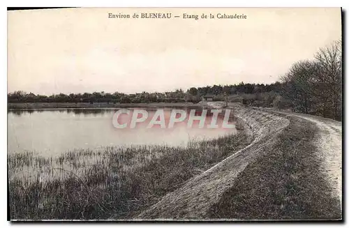 Ansichtskarte AK Environ de Bleneau Etang de la Cahaudirie