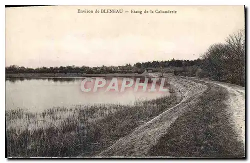 Cartes postales Environ de Bleneau Etang de la Cahaudirie