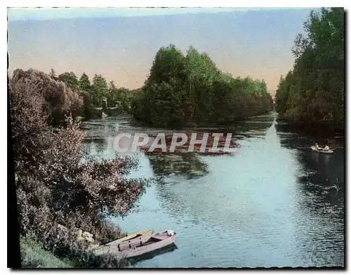 Cartes postales Vincelles (Yonne) L'Ile de Vincelottes