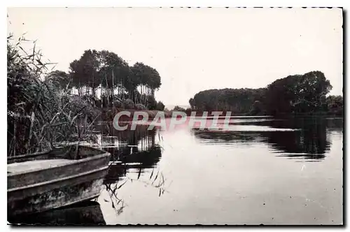 Cartes postales Environs de Sens (Yonne) Les Bords de l'Yonne