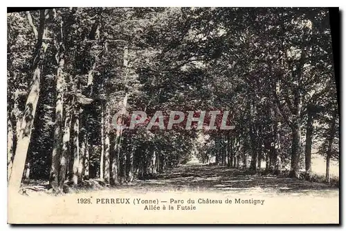 Cartes postales Perreux (Yonne) Parc du Chateau de Montigny
