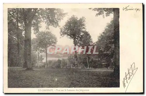 Cartes postales Le Chesnoy Vue sur le hameau des Joigneaux