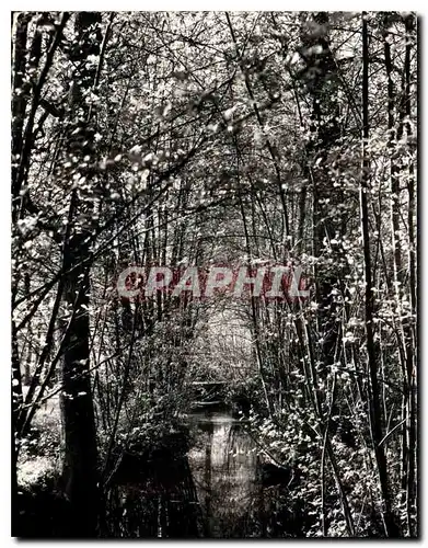 Cartes postales Villefranche Saint Phal Yonne