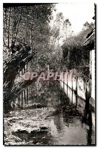 Cartes postales Digy Yonne