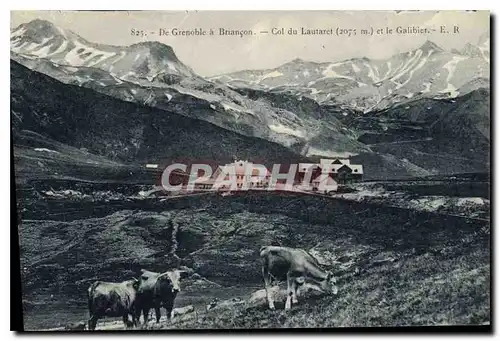 Ansichtskarte AK De Grenoble a Briancon Col du Lautaret et le Galibier Vaches