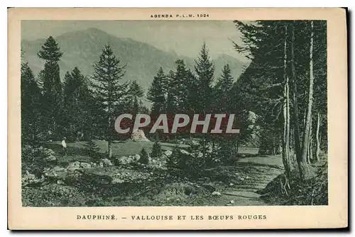 Cartes postales Dauphine Vallouise et les Boeufs Rouges