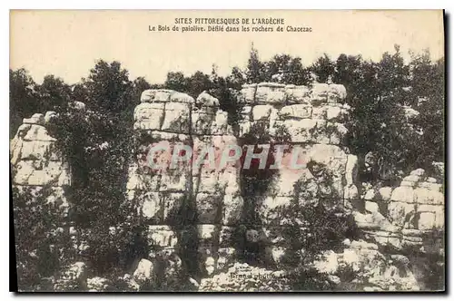Cartes postales Sites Pittoresque de l'Ardeche Le Bois de paioluve Defile dans les rochers de Chacezac