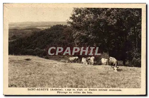 Cartes postales Saint Agreve Ardeche Station estivale renommee Paturage au milieu des bois Vaches