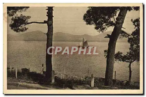 Cartes postales Saint Tropez Le Massil de l'Esterel vu de la Route de Saint Tropez