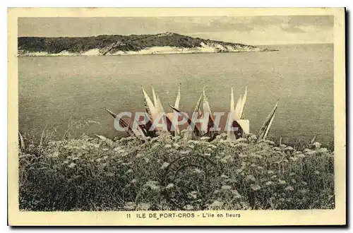 Ansichtskarte AK Ile de Port Cros L'Ile en Fleurs