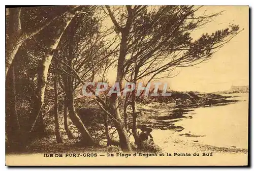 Cartes postales Ile de Port cros La Plage d'Argent et la Pointe du Sud