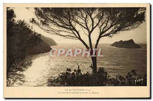 Cartes postales Ile de Port Cros Var La Baie de la Solitude et rocher du Rascas