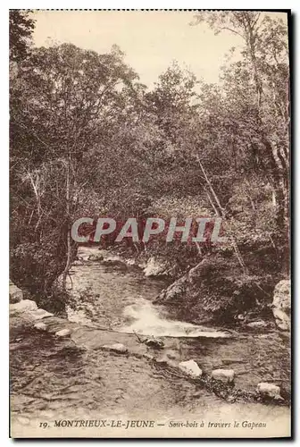 Cartes postales Montrieux Le Jeune Sous Bois a Travers le Gapeau