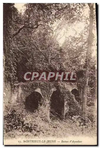 Ansichtskarte AK Montrieux Le Jeune Ruines d'Aquedues