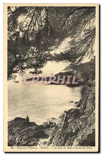 Cartes postales Environs d'Hyeres Giens la Baie du Niel a travers les Pins