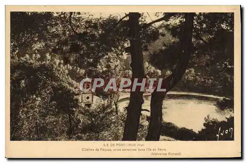 Cartes postales Ile de Port Cros Var Cloches de Paques voies aeriennes dans l'Ile en fleurs