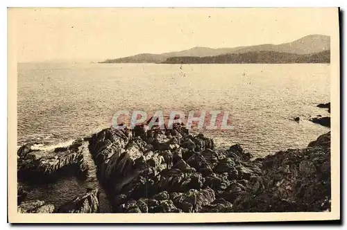 Cartes postales Le Lavandou Faviere