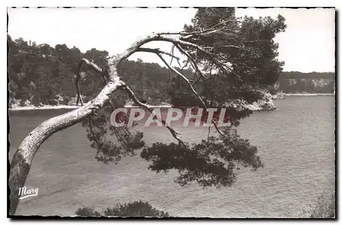 Cartes postales Toulon Baie de Port Mejean