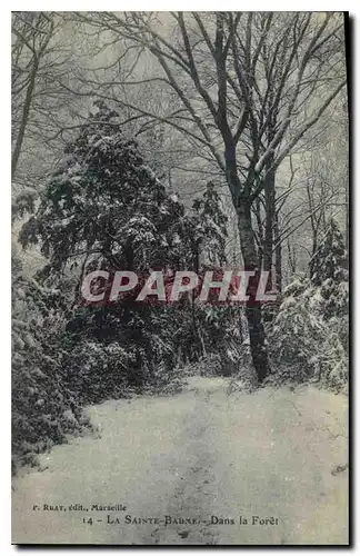 Ansichtskarte AK La Sainte Baume dans la Foret