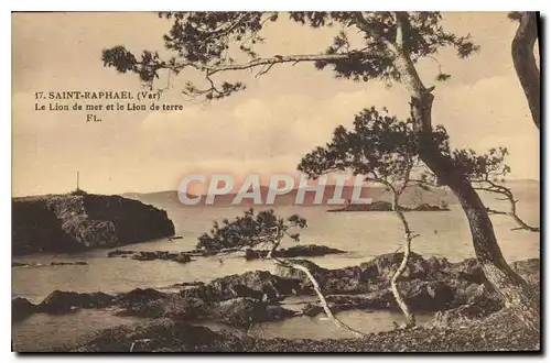 Cartes postales Saint Raphael Var le Lion de mer et le lion de terre