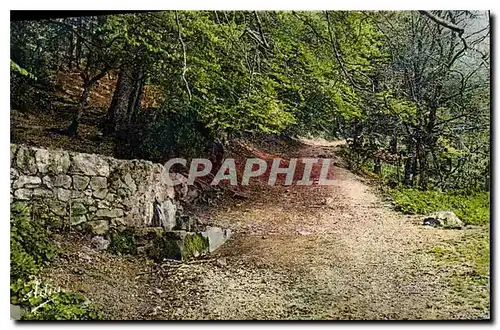 Cartes postales La Sainte Baume Var la Fontaine de Nans