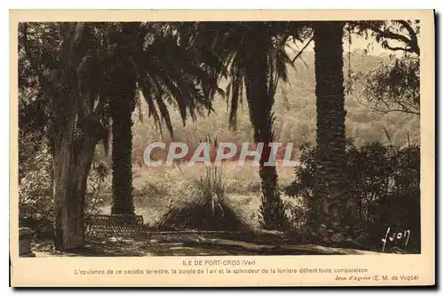 Ansichtskarte AK Ile de Port Cros Var l'apulence de ce paradis terrestre la pufete de l'air et de la aplendeut de