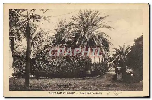 Cartes postales Chateau Cordion Allee des palmiers