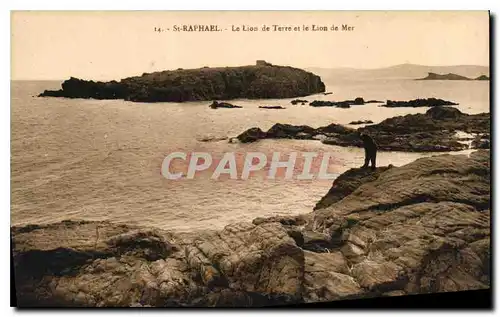 Cartes postales St Raphael Le Lion de Terre et le Lion de Mer