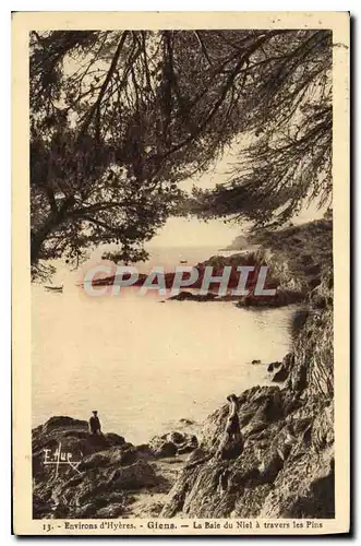 Cartes postales Environs d'Hyeres Giens La Baie du Niel a travers les Pins