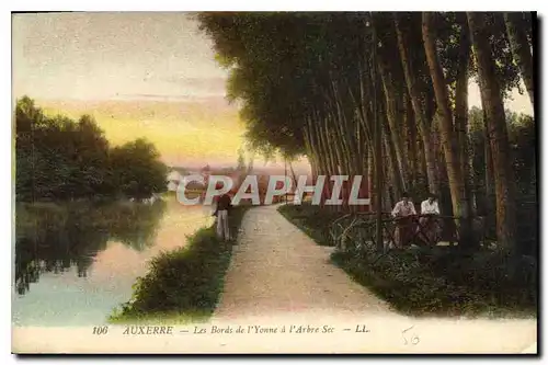 Cartes postales Auxerre les Bords de l'Yonne a l'Arbre Sec Pecheur Peche