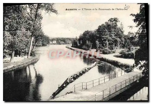 Cartes postales Auxerre l'Yonne et la Promenade de l'Arbre Sec
