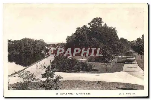 Ansichtskarte AK Auxerre l'Arbre Sec