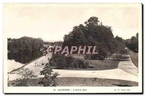 Cartes postales Auxerre l'Arbre Sec