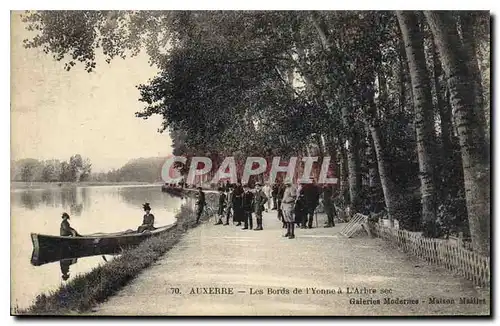 Cartes postales Auxerre les Bords de l'Yonne a l'Arbre Sec
