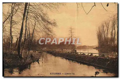 Cartes postales Auxerre l'Arbre Sec