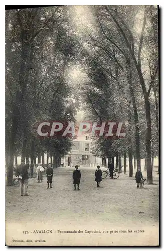 Ansichtskarte AK Avallon Promenade des Capucins vue prise sous les arbres