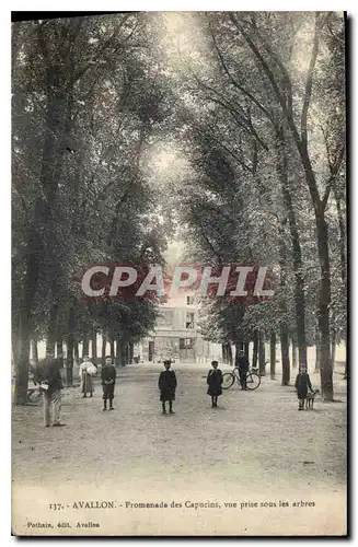 Cartes postales Avallon Promenade des Capucins vue prise sous les arbres