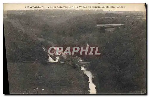 Ansichtskarte AK Avallon Vue panoramique de la Vallee du Cousin au Moulin Cadoux