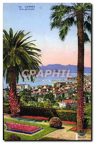 Cartes postales Cannes Vue generale