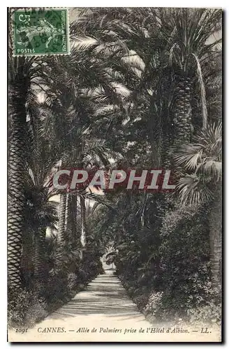 Cartes postales Cannes Allee de Palmiers prise de l'Hotel d'Albion