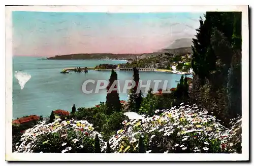 Cartes postales Menton et le Cap Martin