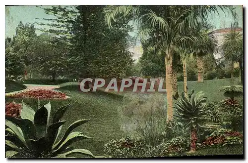 Cartes postales Monte Carlo Les Jardins