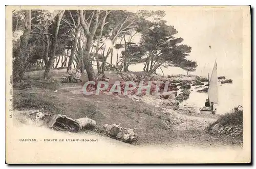 Cartes postales Cannes Pointe de l'Ile St Honorat